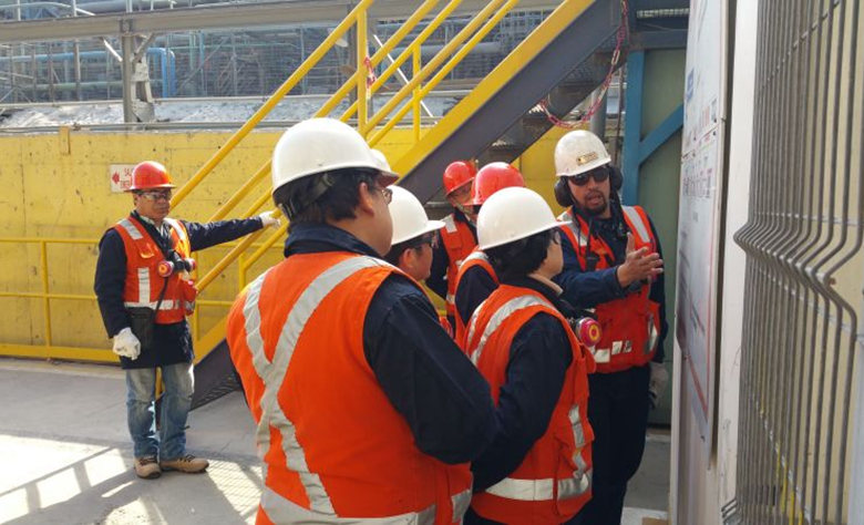 168体育 - 官方角逐综合平台入口