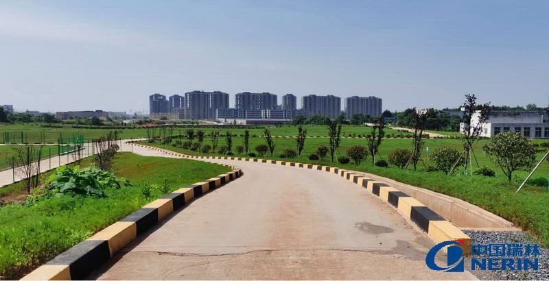 168体育 - 官方角逐综合平台入口