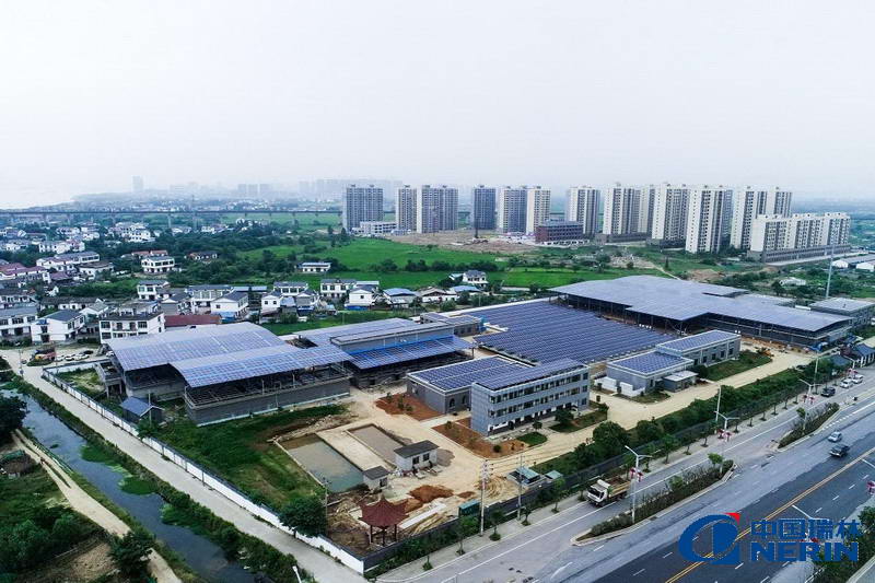 168体育 - 官方角逐综合平台入口